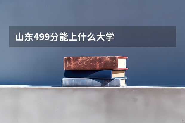 山东499分能上什么大学