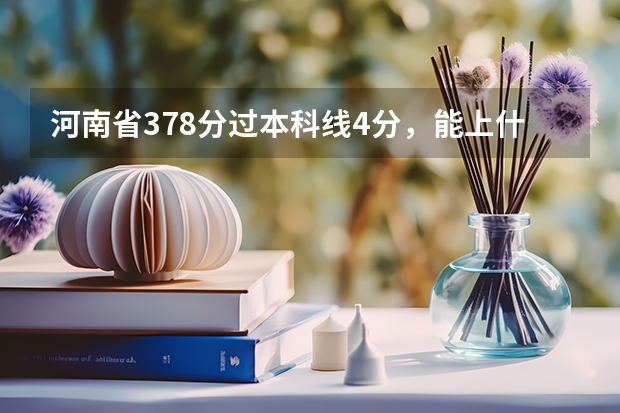 河南省378分过本科线4分，能上什么本科学校？