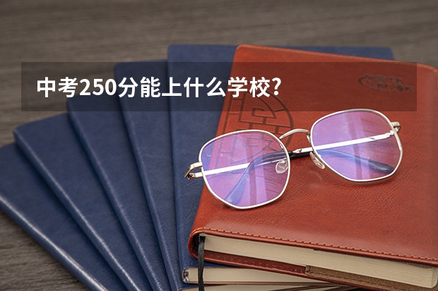 中考250分能上什么学校?