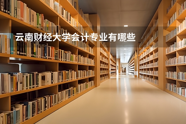 云南财经大学会计专业有哪些