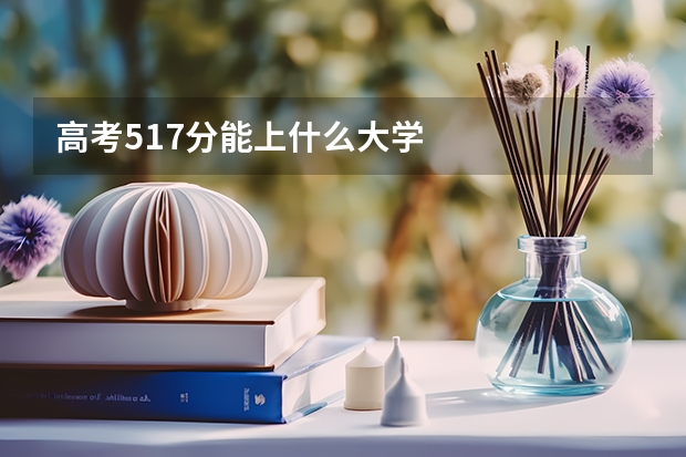 高考517分能上什么大学