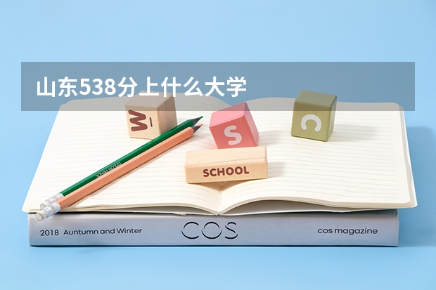 山东538分上什么大学