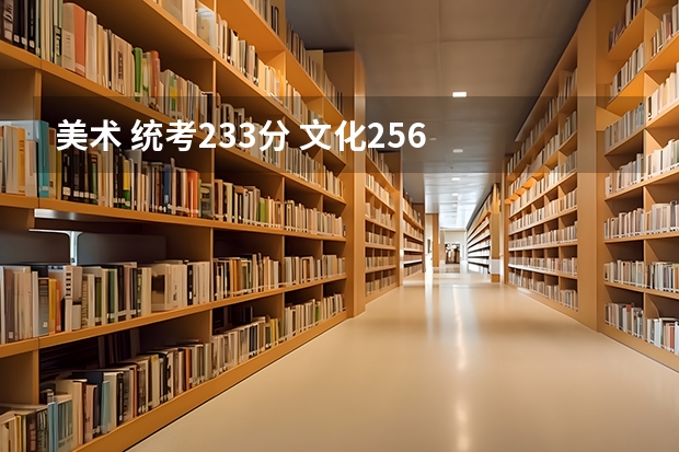 美术 统考233分 文化256  在南京能上什么学校