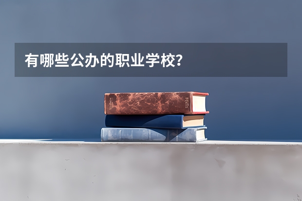 有哪些公办的职业学校？