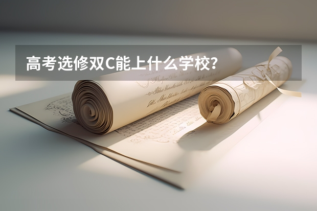 高考选修双C能上什么学校？