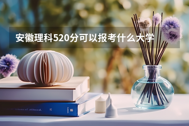 安徽理科520分可以报考什么大学