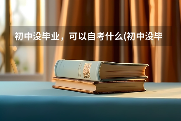 初中没毕业，可以自考什么(初中没毕业可以参加自考..成人高考或者网络教育吗？)？