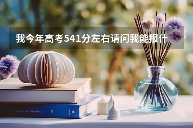 我今年高考541分左右请问我能报什么学校