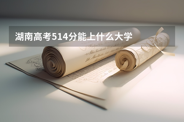 湖南高考514分能上什么大学