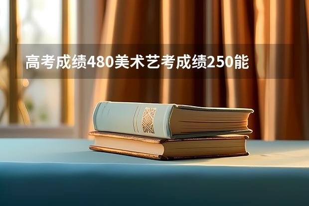 高考成绩480美术艺考成绩250能考什么大学？