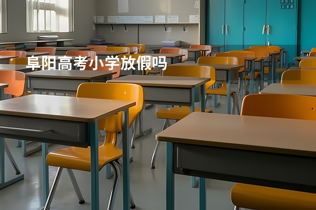 阜阳高考小学放假吗