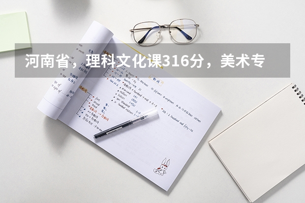 河南省，理科文化课316分，美术专业课206分，能上什么学校？能不能上艺术类A段的学校？