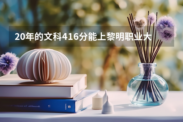 20年的文科416分能上黎明职业大学吗？