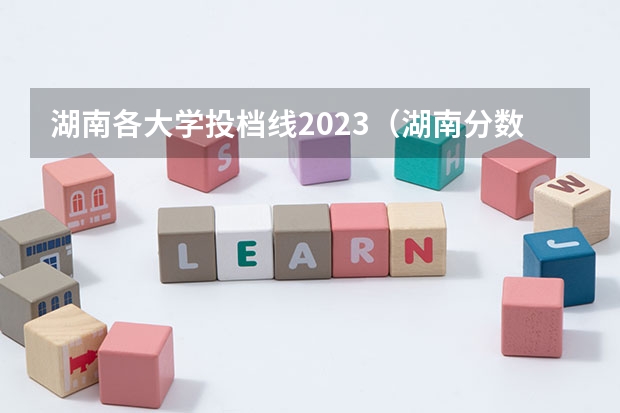 湖南各大学投档线2023（湖南分数最低的公办二本大学）