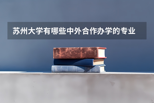 苏州大学有哪些中外合作办学的专业