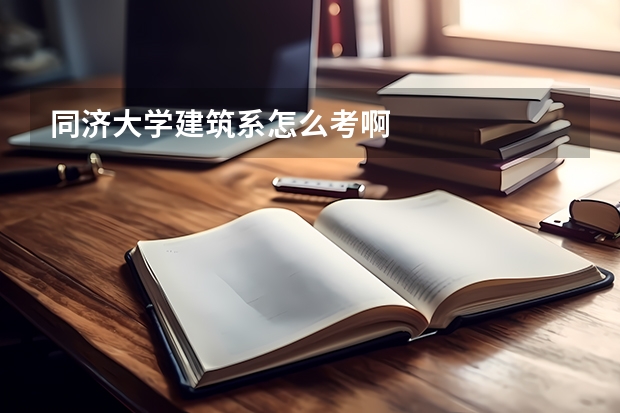 同济大学建筑系怎么考啊