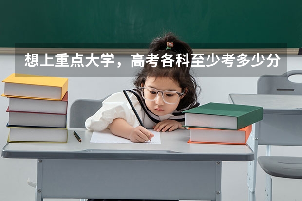 想上重点大学，高考各科至少考多少分才行