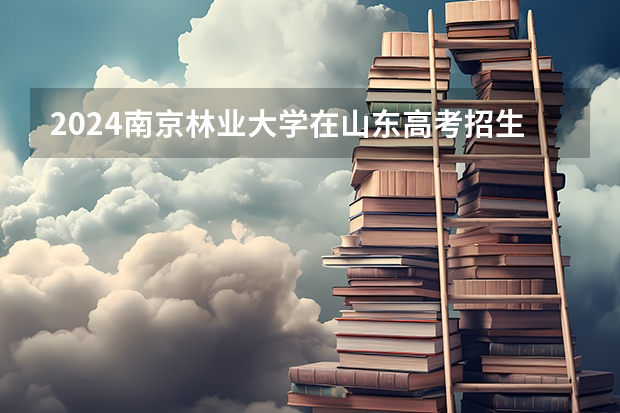 2024南京林业大学在山东高考招生计划介绍