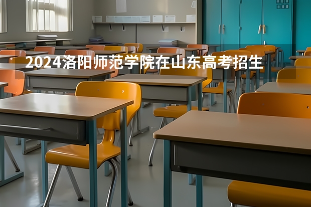 2024洛阳师范学院在山东高考招生计划介绍