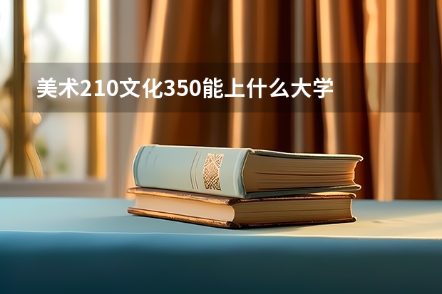 美术210文化350能上什么大学