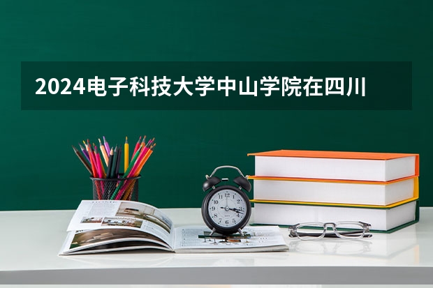 2024电子科技大学中山学院在四川高考招生计划介绍