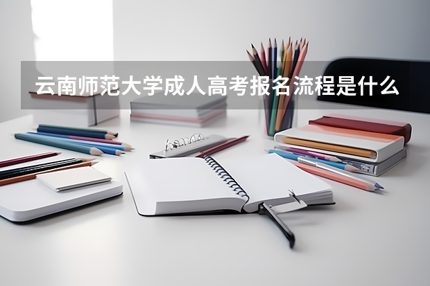 云南师范大学成人高考报名流程是什么？