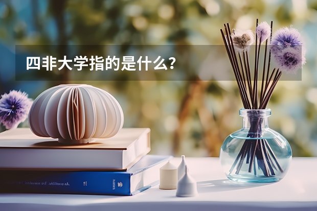 四非大学指的是什么？