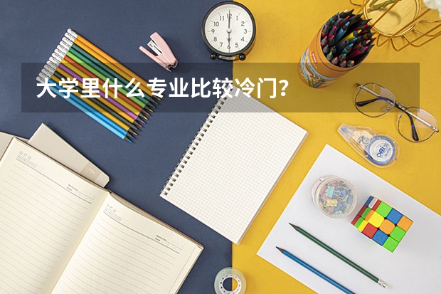 大学里什么专业比较冷门？