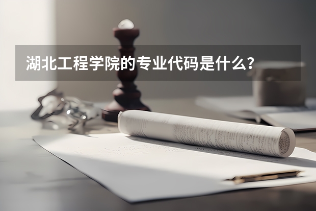 湖北工程学院的专业代码是什么？