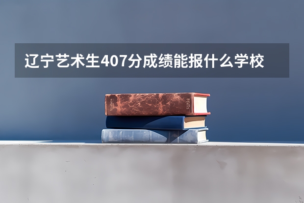 辽宁艺术生407分成绩能报什么学校