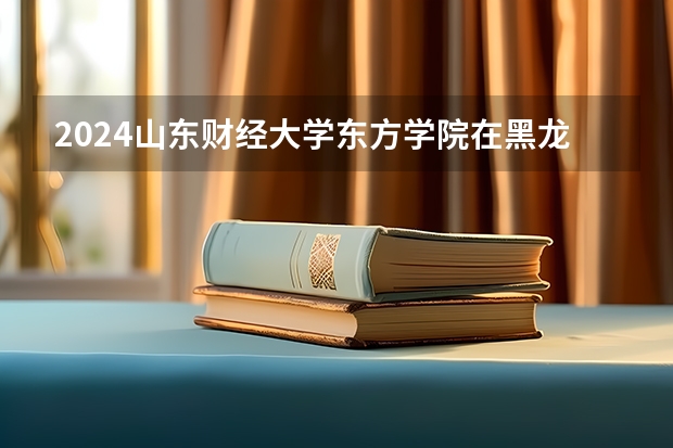 2024山东财经大学东方学院在黑龙江高考招生计划介绍