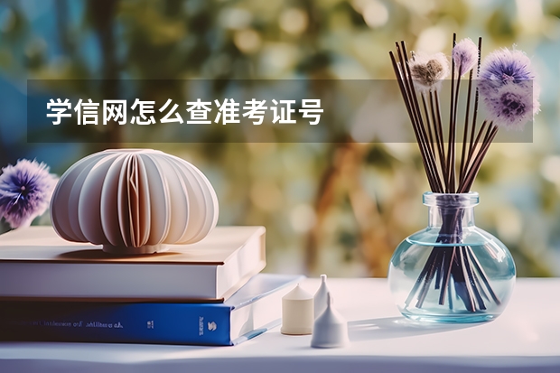 学信网怎么查准考证号