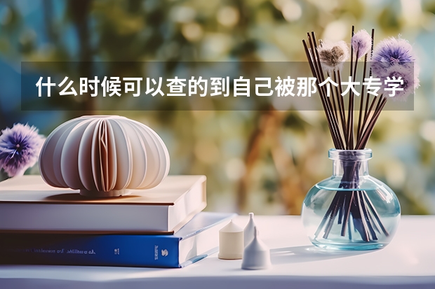 什么时候可以查的到自己被那个大专学校录取?