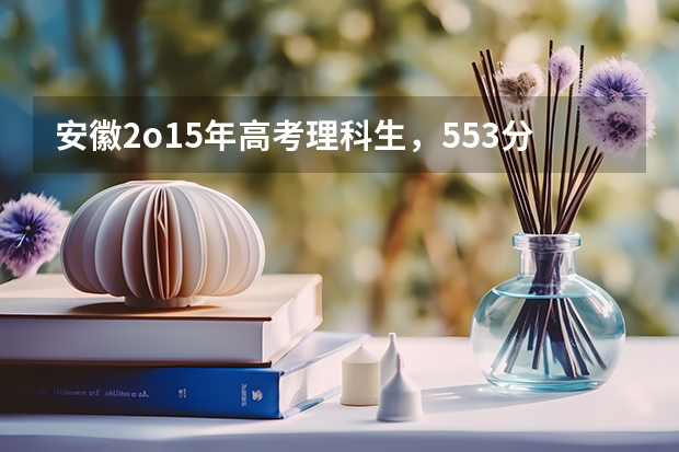 安徽2o15年高考理科生，553分能被浙江外国语学院录取吗并且是第一志愿