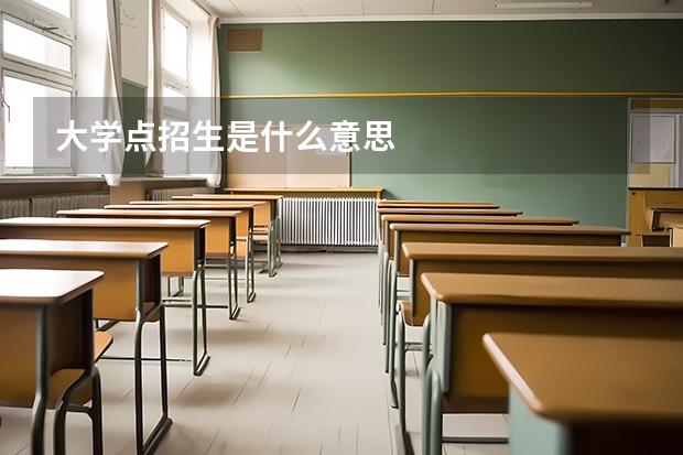 大学点招生是什么意思