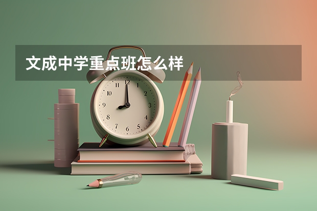 文成中学重点班怎么样