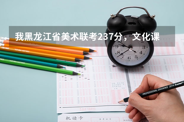 我黑龙江省美术联考237分，文化课400，能走什么学校呀？谢谢！！