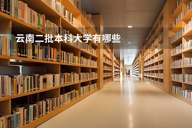 云南二批本科大学有哪些