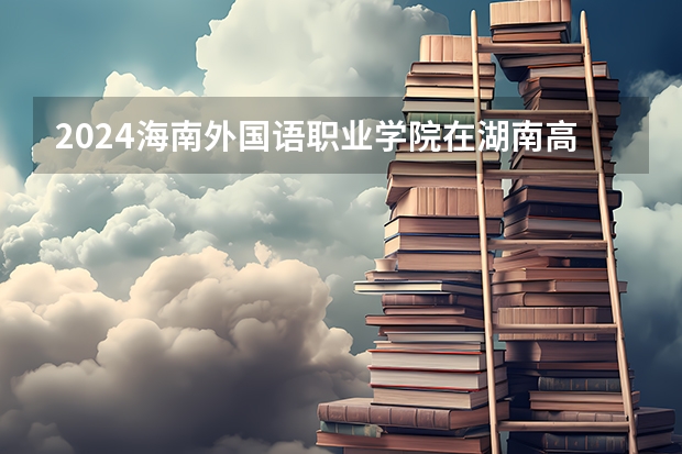 2024海南外国语职业学院在湖南高考招生计划介绍