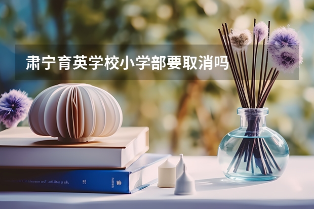 肃宁育英学校小学部要取消吗