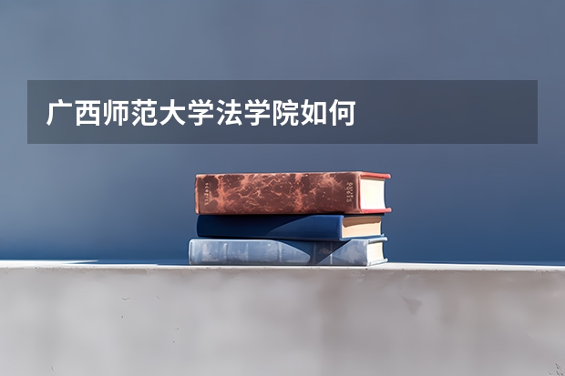 广西师范大学法学院如何