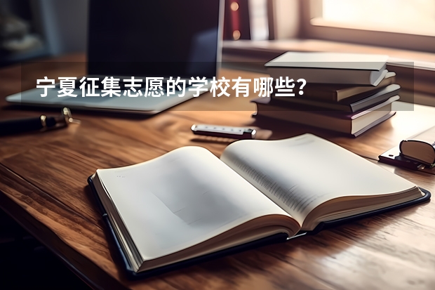 宁夏征集志愿的学校有哪些？