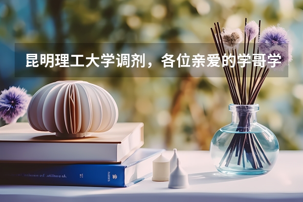 昆明理工大学调剂，各位亲爱的学哥学姐，求帮助 昆明理工大学10调剂