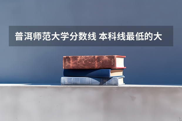 普洱师范大学分数线 本科线最低的大学