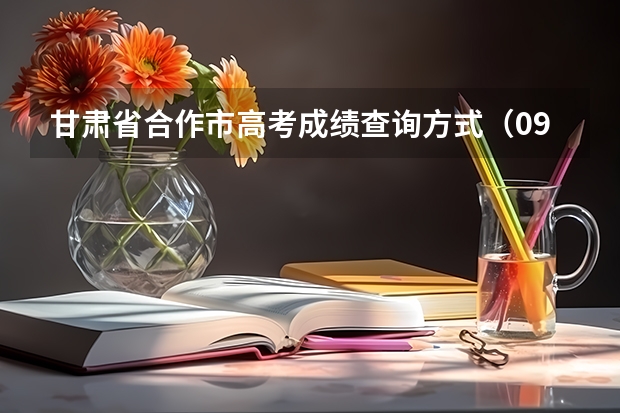 甘肃省合作市高考成绩查询方式（09年甘肃省高考成绩和名次从哪儿查？）