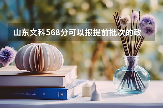 山东文科568分可以报提前批次的政法大学吗