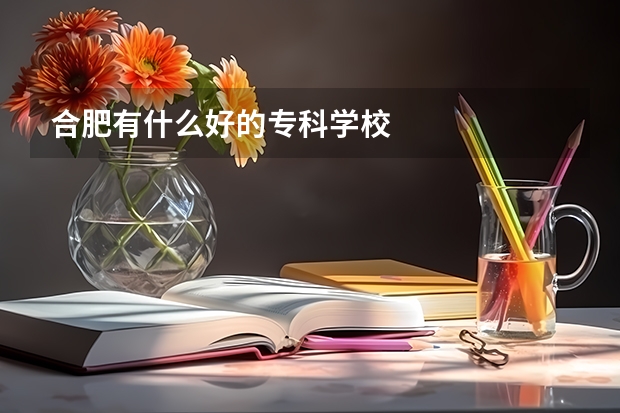 合肥有什么好的专科学校