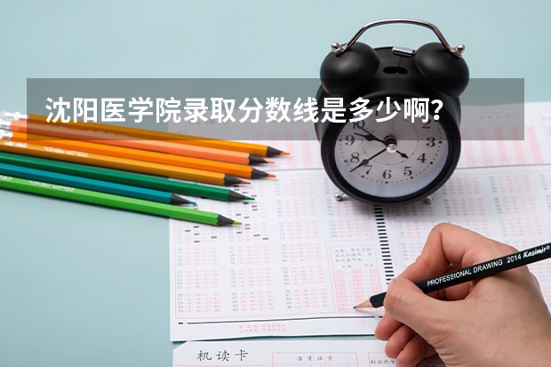 沈阳医学院录取分数线是多少啊？