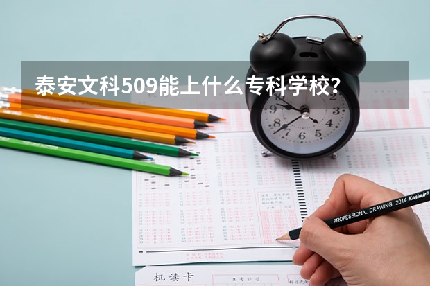 泰安文科509能上什么专科学校？