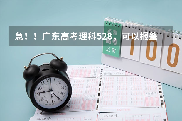 急！！广东高考理科528，可以报肇庆学院和惠州学院吗？